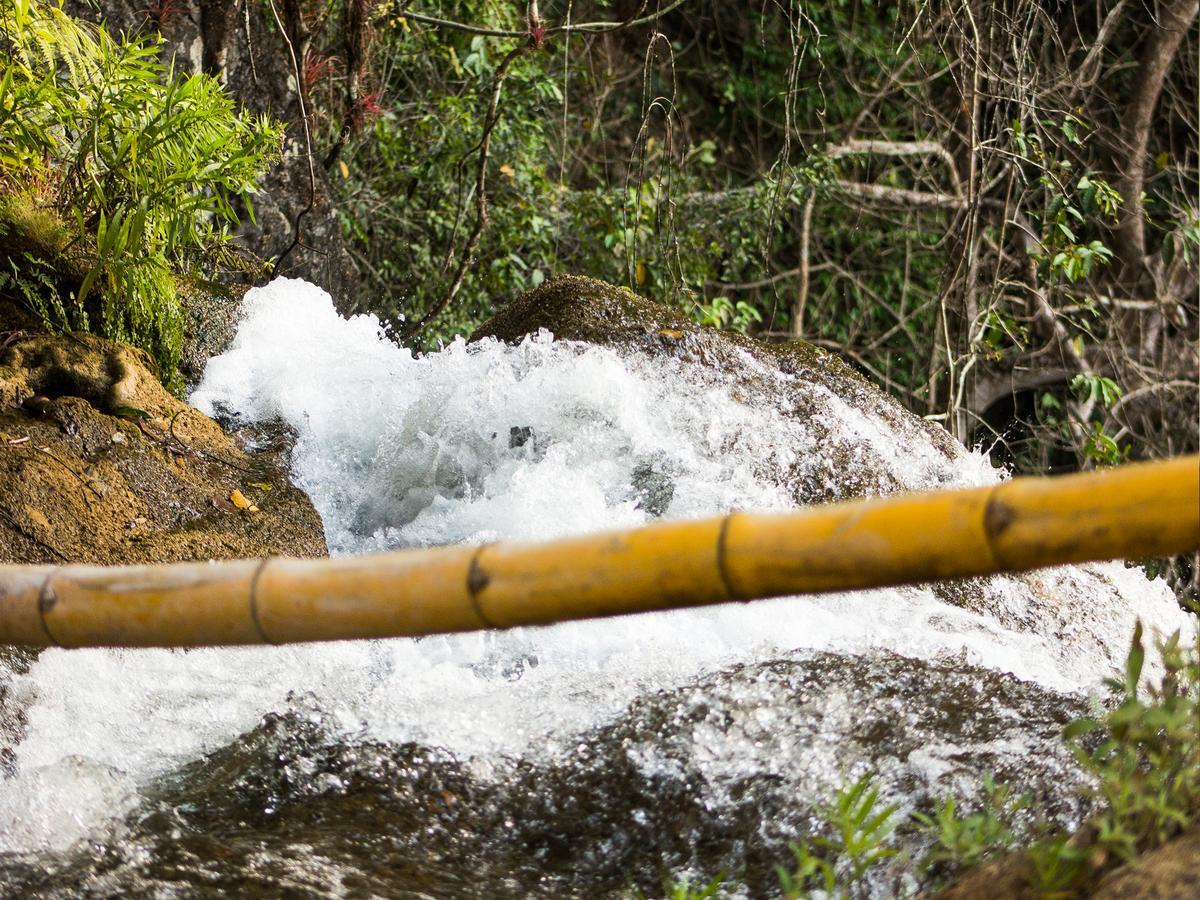 Willa Reserva Ecologica Vive Copalitilla San Miguel del Puerto Zewnętrze zdjęcie